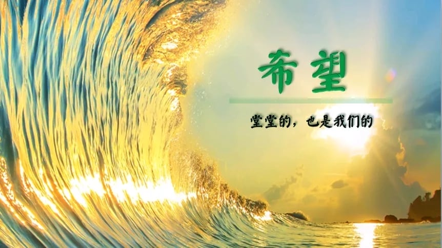 深圳堂堂会计师事务所承接上市公司新疆亿路万源控股股份有限公司年报审计
