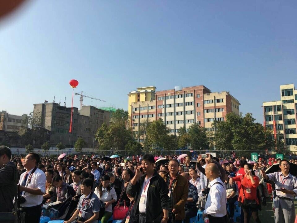 单项资产评估