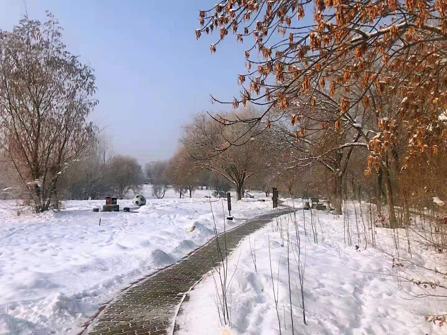 微信图片_20210111001908
